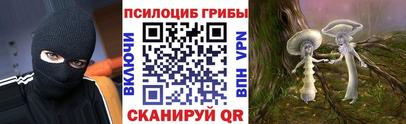 Галлюциногенные грибы Magic Shrooms  цены   Новоаннинский 